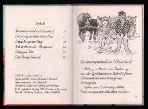 gebrauchtes Buch – Beate Proffen – Ein Pony ist kein Omnibus (in Schreibschrift)