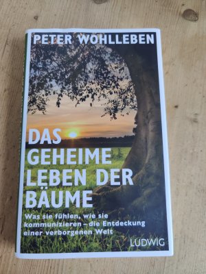 gebrauchtes Buch – Peter Wohlleben – Das geheime Leben der Bäume - Was sie fühlen, wie sie kommunizieren - die Entdeckung einer verborgenen Welt