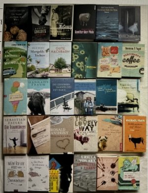 gebrauchtes Buch – Julia Woolf Therese Anne Fowler Herve Jaouen Michael Viewegh Erik Fosner Hansen Yann Appery Michael Frayn Hape Kerkeling Sebastian Faulks Frank McCourts Evan Zimroth Sylvie Schenk Jonathan Coe Vanessa F – 30 Hartcover Gebunden Sammlung Konvolut BücherPaket Marigolds Töchter Gute Nachbarn Die Eismacher Ich bin dann mal weg Willkommen auf Skios Nein! Ich geh nicht zum Seniorentreff Ein gutes Leben  Tag und Nacht und auch im Sommer  Die ungeheuerliche Einsamkeit des Maxwell Sim  Ein wildes Herz  Der Poet der kleinen Dinge  Nachteulen  Die Traumtänzer  Hannahs Traum  Frühe Arabesken  Bleibtreu  Gewitter über Pluto  Choral am Ende der Reise   Hertzmann’s Coffe  Die Stadt am Ende der Welt  Ein allzu kurzes Leben  Das zufällige Leben des Homer Idlewilde  Wenn du nur willst  Schnell, dein Leben  Die geheimen Talente des Piet Barol  Eine Witwe mit Geld Kinder des Zufalls All die schönen Dinge  Die Welt ist im Kopf Pardon, Monsieur, ist dieser Hund blind? Engel des letzten Tages