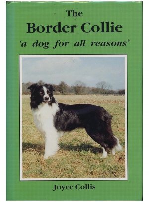 Border Collie -a dog for all reasons