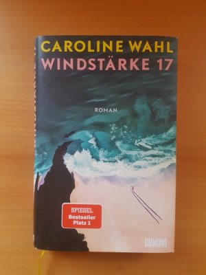 Windstärke 17 - Der neue Roman von der Autorin des Bestsellers ›22 Bahnen‹