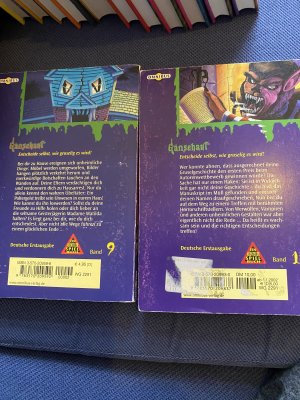 gebrauchtes Buch – R.L.Stine – Gänsehaut