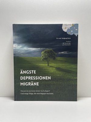 Ängste, Depressionen, Migräne - warum sie uns heute noch immer plagen? : und einige Dinge, die man dagegen tun kann