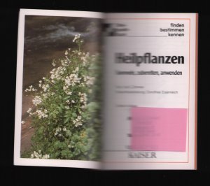 gebrauchtes Buch – Ute E. Zimmer – Dreipunktbuch /Heillpflanzen --Sammeln, zubereiten, anwenden