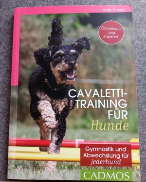 Cavalettitraining für Hunde - Gymnastik und Abwechslung für Jederhund