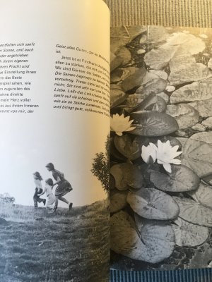 gebrauchtes Buch – George Trevelyan – Der Findhorn-Garten - ein neues Zukunftsbild: Mensch und Natur im Einklang]