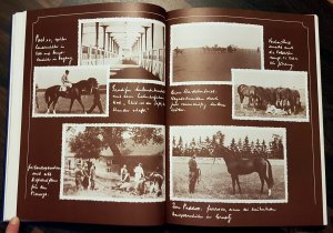 Morjen, Herr Landstallmeister. Aus dem Familienalbum der Grafen Lehndorff u. a. über die Zeit der großen Preußischen Gestüte.