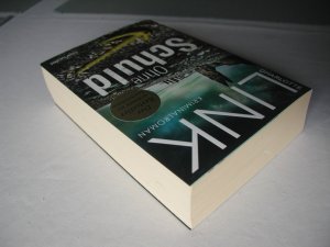 gebrauchtes Buch – Charlotte Link – Ohne Schuld - Kriminalroman