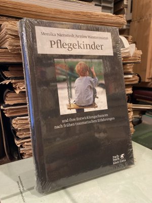 Pflegekinder und ihre Entwicklungschancen nach frühen traumatischen Erfahrungen.