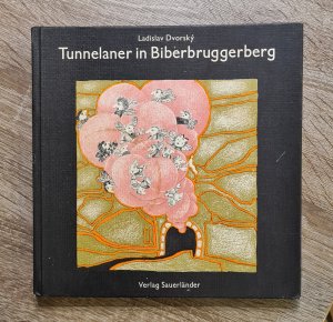 Tunnelaner in Biberbruggerberg