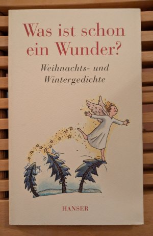 Was ist schon ein Wunder? - Weihnachts- und Wintergedichte