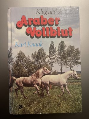 Klug und stolz - Araber-Vollblut