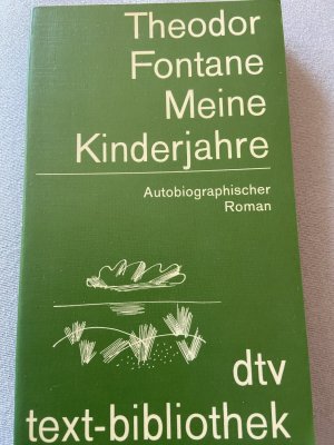 Meine Kinderjahre. Autobiographischer Roman