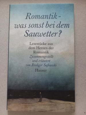 Romantik - was sonst bei dem Sauwetter? - Texte der Romantik