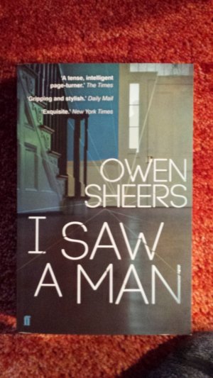 gebrauchtes Buch – Owen Sherrs – I Saw a Man