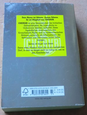 gebrauchtes Buch – Robert Muchamore – Top Secret 1 - Der Agent