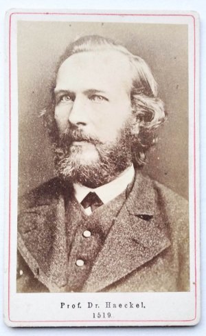 Prof. Dr. Ernst Haeckel (1834-1919). CdV, Original-Fotografie