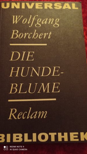 gebrauchtes Buch – Wolfgang Borchert – Die Hundeblume