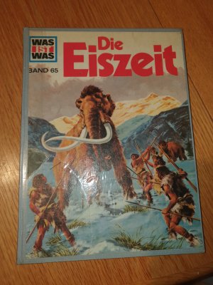 gebrauchtes Buch – Hans Reichardt – Die Eiszeit