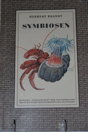 Symbiosen