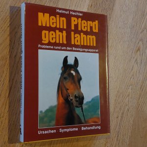 Mein Pferd geht lahm. Probleme rund um den Bewegungsapparat