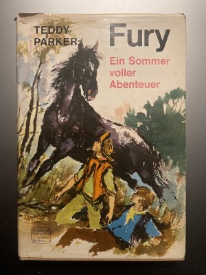 Fury - Ein Sommer voller Abenteuer