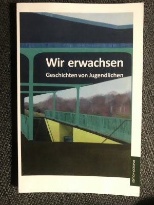 gebrauchtes Buch – Ina Lammers – Wir erwachsen - Geschichten von Jugendlichen