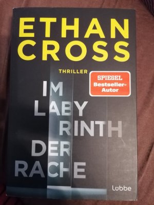 gebrauchtes Buch – Ethan Cross – Im Labyrinth der Rache