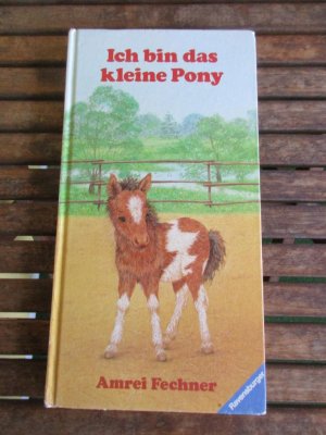 Ich bin das kleine Pony