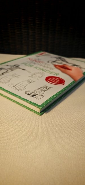 gebrauchtes Buch – Gecko Keck – Die Kunst des Zeichnens für Kinder