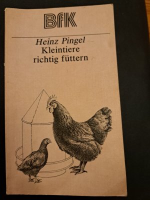 Kleintiere richtig Füttern