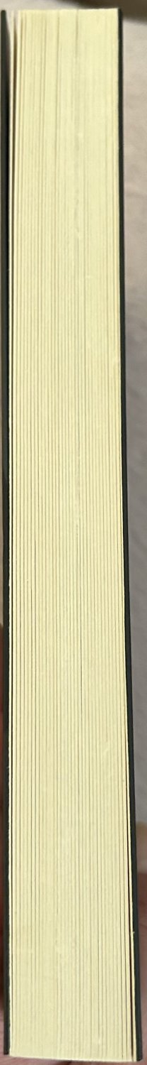 gebrauchtes Buch – Tobias Heinemann – Entfessle dein Potenzial