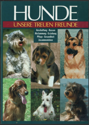 gebrauchte Buecher