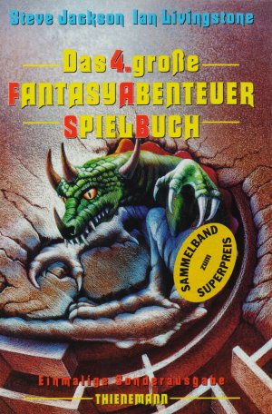 Das 4. grosse FantasyAbenteuerSpielBuch