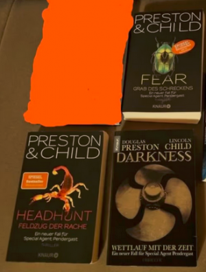 3 x Thriller - Darkness - Wettlauf mit der Zeit, Fear - Grab des Schreckens, Headhunt - Feldzug der Rache (Agent Pendergast) Thriller