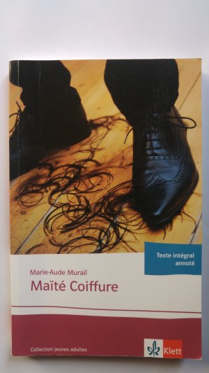 gebrauchtes Buch – Marie-Aude Murail – Maïté coiffure