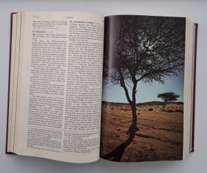 gebrauchtes Buch – herausgegeben im Auftr – Hausbibel - Einheitsübers. d. Alten und Neuen Testaments mit Bildern von Erich Lessing