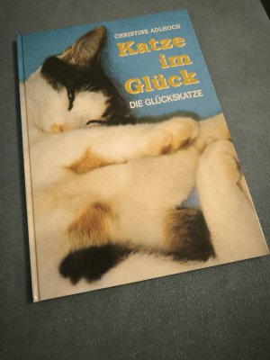 Katze im Glück - Die Glückskatze