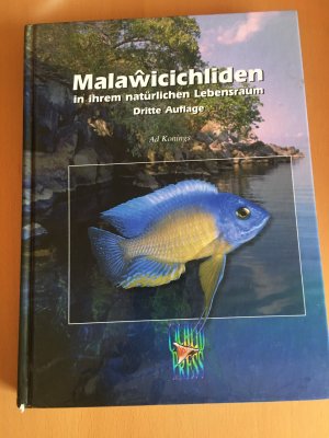 Malawicichliden in ihrem natürlichen Lebensraum