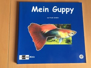 Mein Guppy