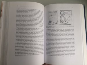 gebrauchtes Buch – Brigitte Falkenburg – Mythos Determinismus  -  Wieviel erklärt uns die Hirnforschung?      (=   Spektrum Sachbuch)