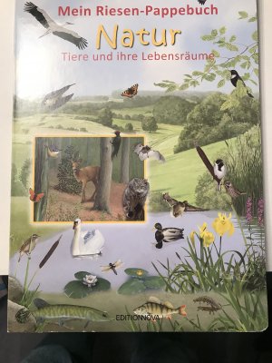 Mein Riesen-Pappebuch - Natur – Tiere und ihre Lebensräume