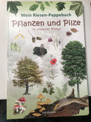 Mein Riesen-Pappebuch: Pflanzen und Pilze in unserer Natur