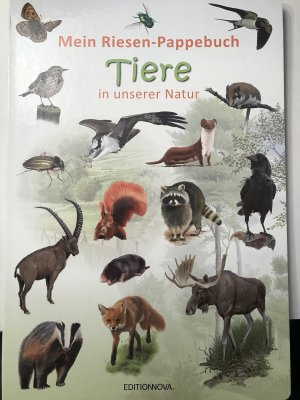 Mein Riesen-Pappebuch - Tiere in unserer Natur