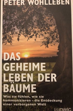 gebrauchtes Buch – Peter Wohlleben – Das geheime Leben der Bäume - Was sie fühlen, wie sie kommunizieren - die Entdeckung einer verborgenen Welt