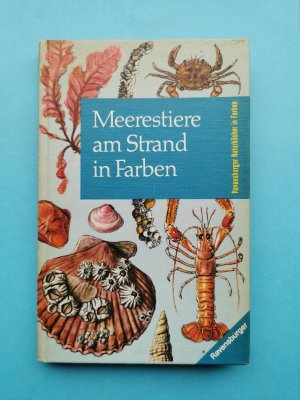 gebrauchtes Buch – Wolfgang F. Gutmann - Ravensburger Naturbücher in Farben – Meerestiere am Strand in Farben