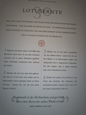 gebrauchtes Buch – Lisa Tenzin-Dolma – Sinnliche Meditation