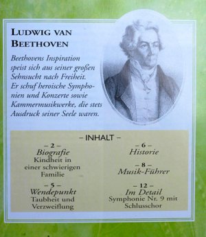 gebrauchter Tonträger – Ludwig van Beethoven – BEETHOVEN Der Geist der Freiheit