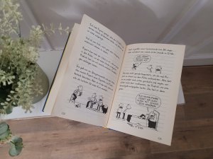 gebrauchtes Buch – Jeff Kinney – Gregs Tagebuch 2 - Gibt's Probleme?