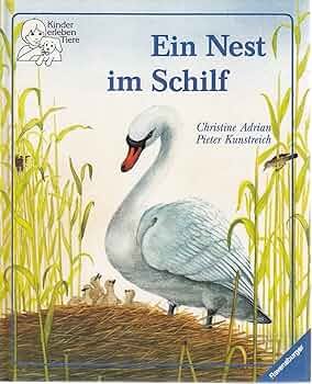 Ein Nest im Schilf